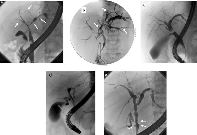 Fig. 8