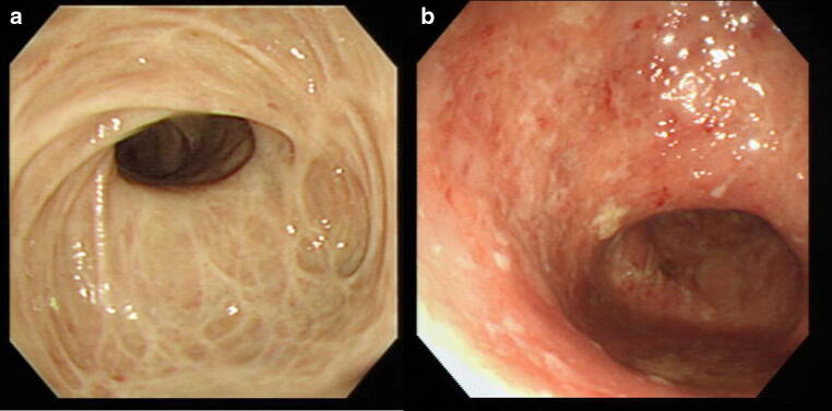 Fig. 7