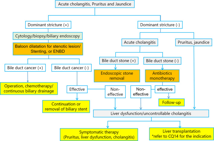 Fig. 14