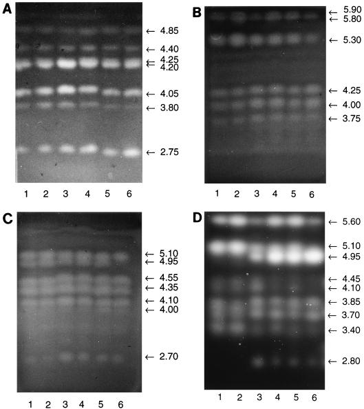 FIG. 4