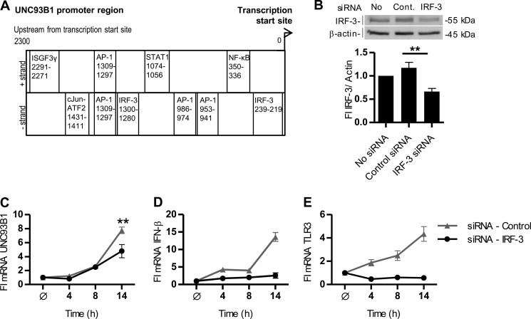 FIGURE 2.