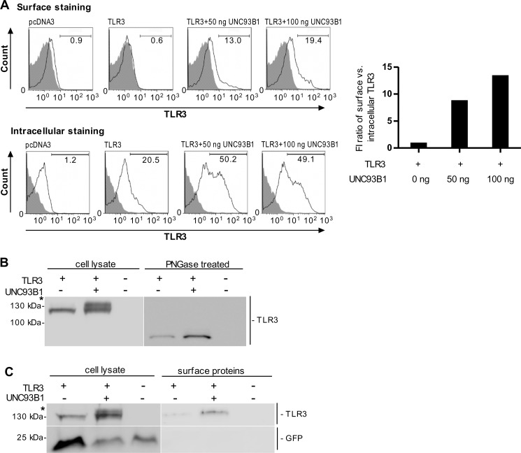 FIGURE 4.