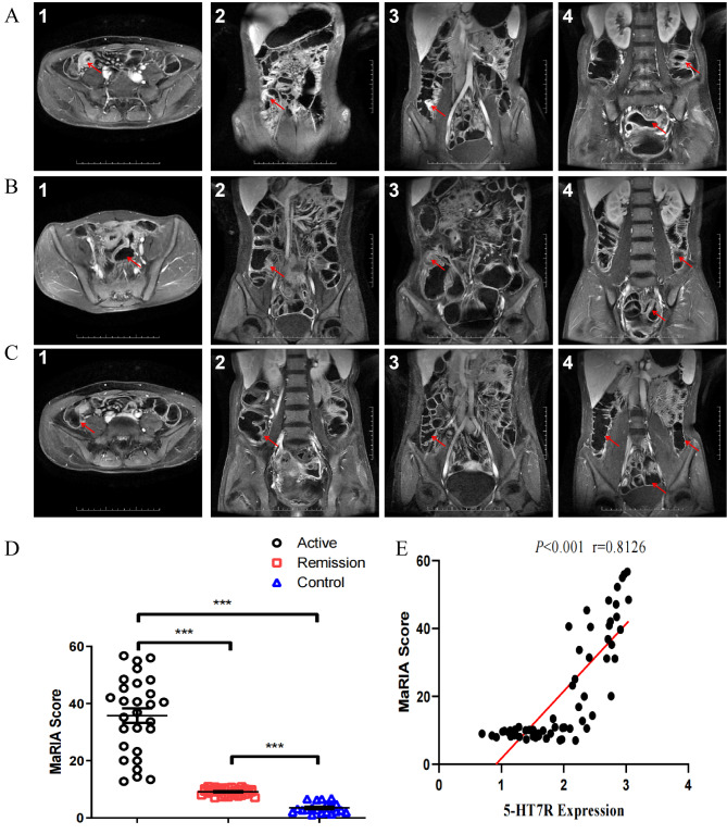Fig. 4