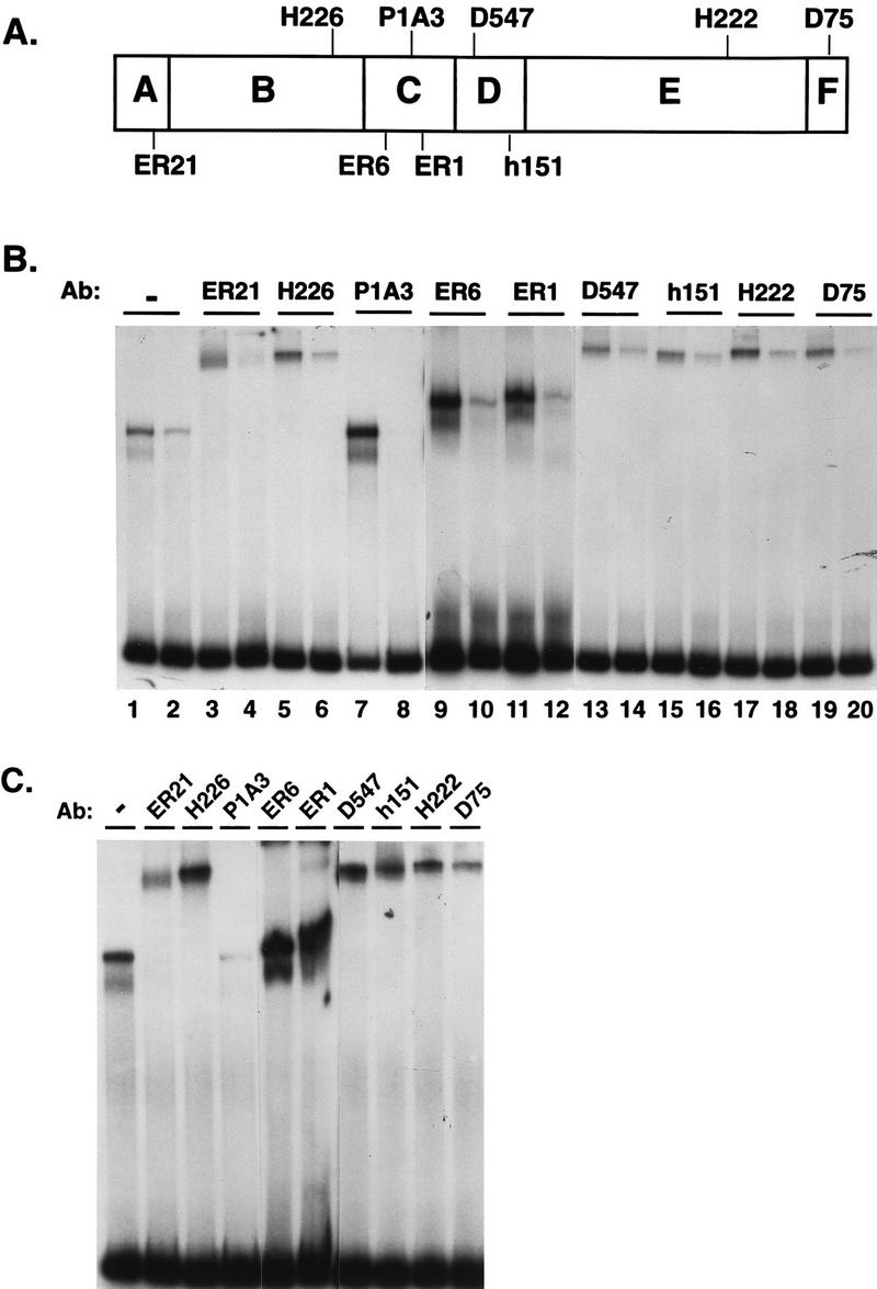 FIG. 6