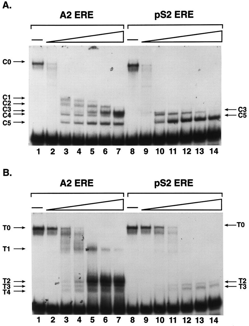 FIG. 7