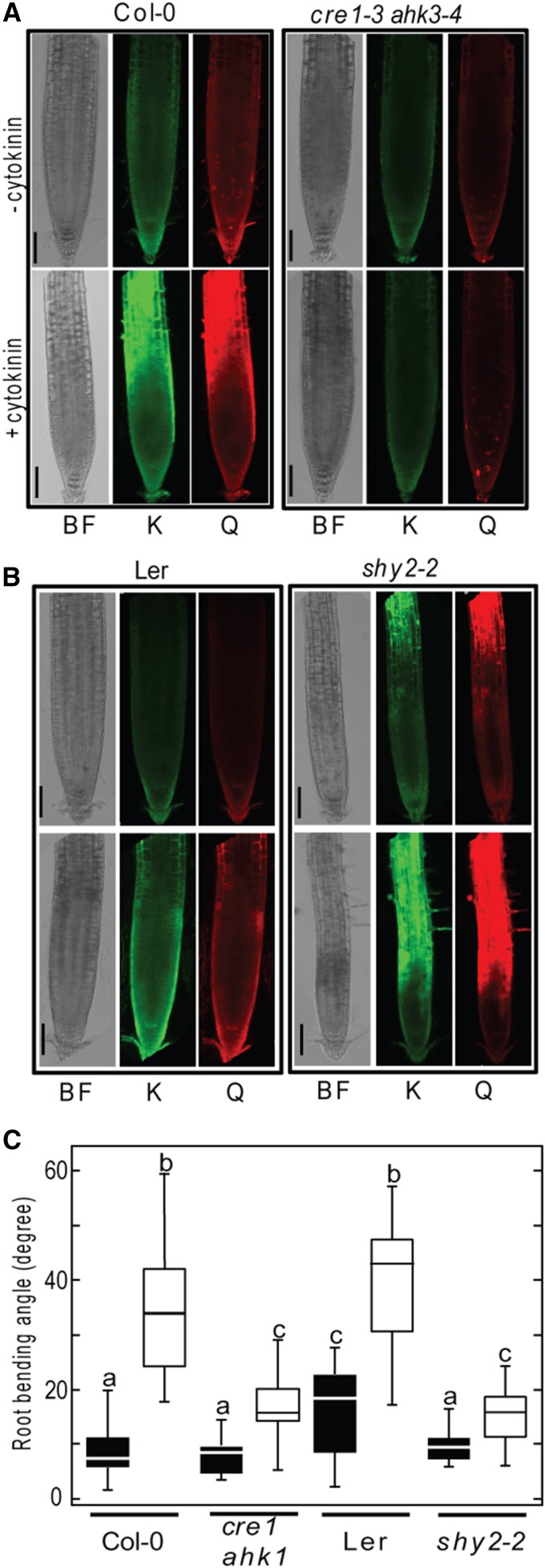 Figure 9.