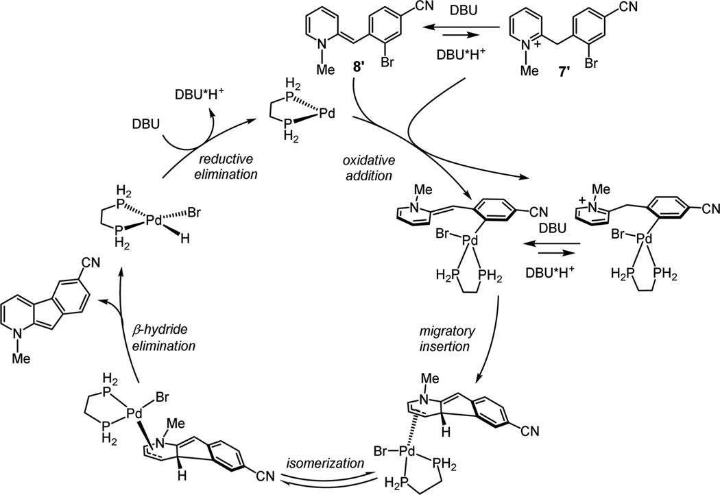 Scheme 5