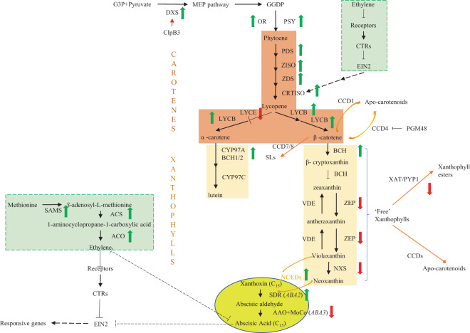 Fig. 6