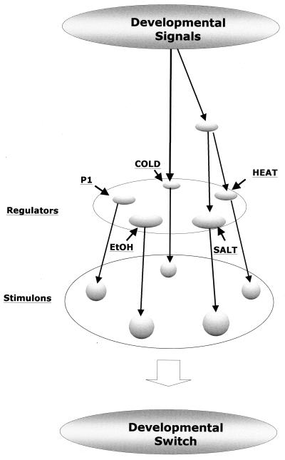 FIG. 5