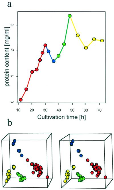 FIG. 1