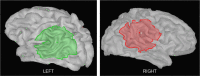Fig 7