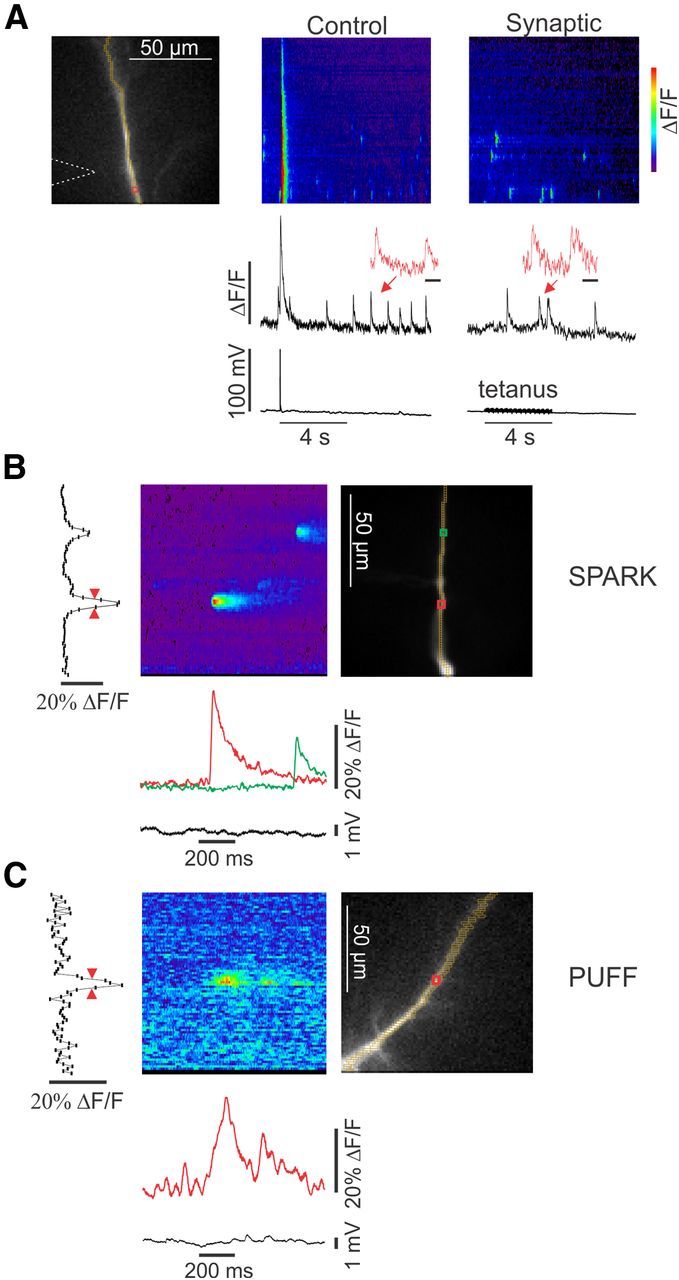 Figure 2.