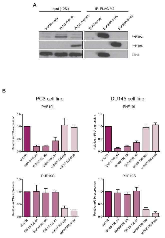 Figure 1—figure supplement 1.