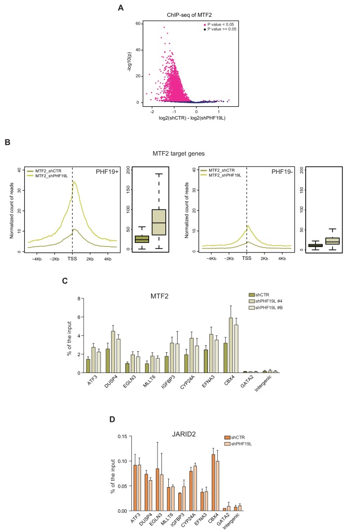 Figure 4—figure supplement 1.