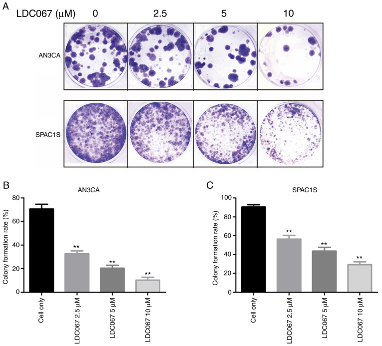 Figure 6.