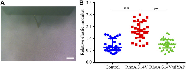 FIGURE 9