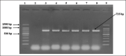 Figure-3