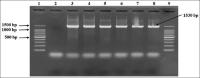 Figure-2