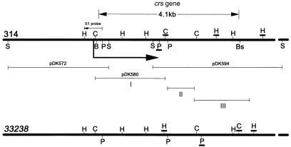 FIG. 1