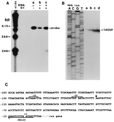 FIG. 5