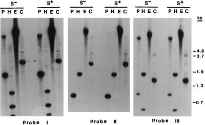FIG. 6