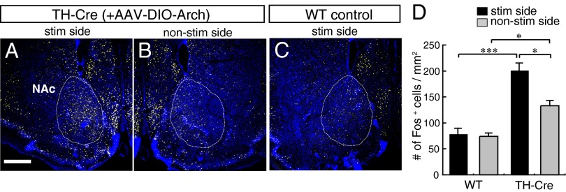 Fig. 3.