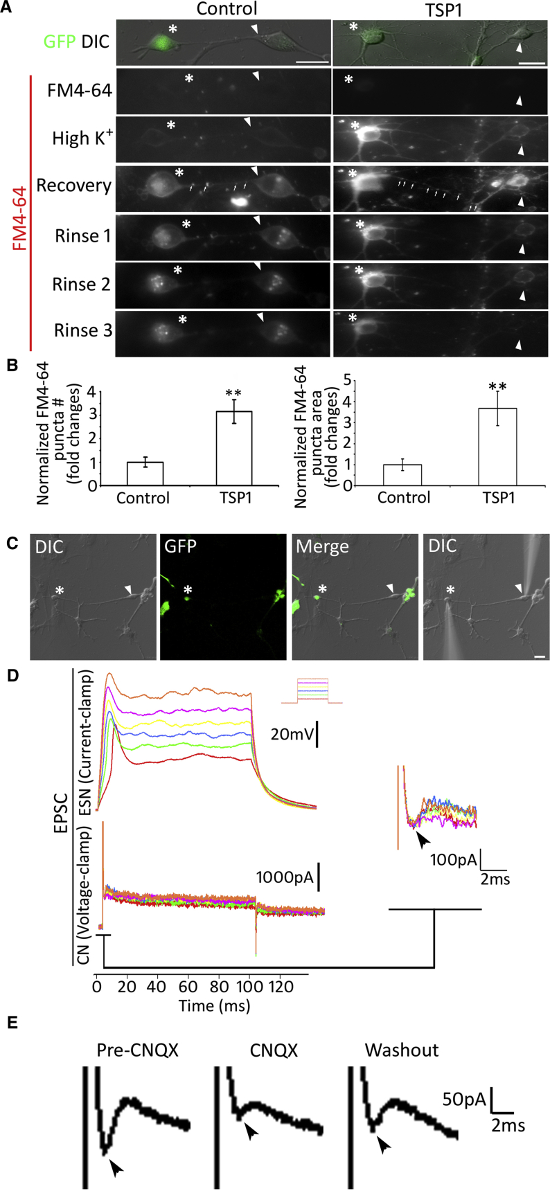 Figure 7