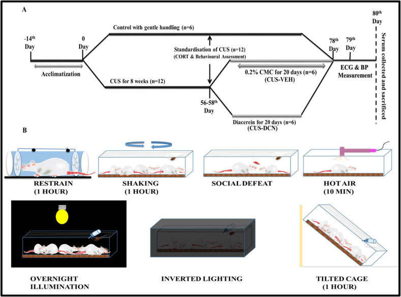 Figure 1