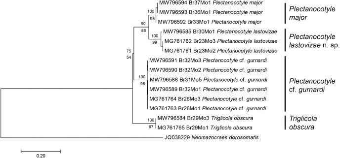 Figure 2