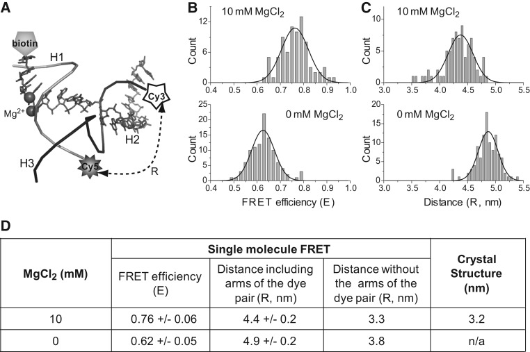 FIGURE 2.