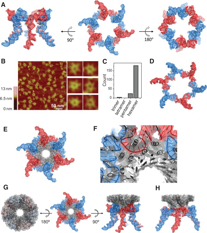 FIGURE 4.