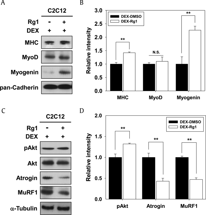 Fig. 4