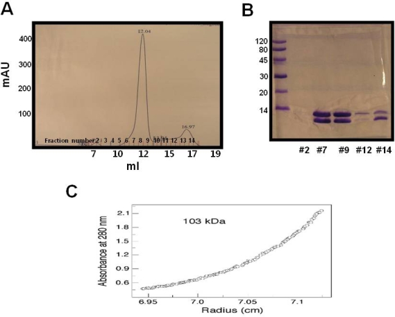 Figure 3.