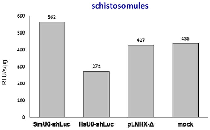 Human U6 promoter drives stronger shRNA activity than its schistosome ...