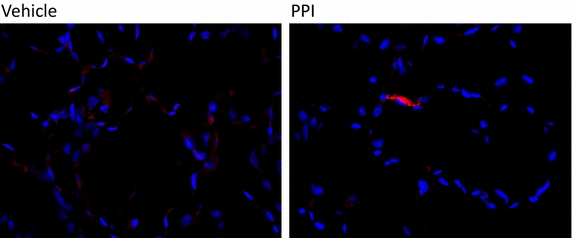 Fig. 9