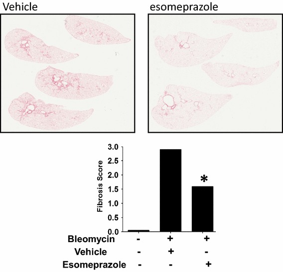 Fig. 7