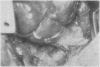 400