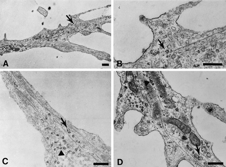 Fig. 9.