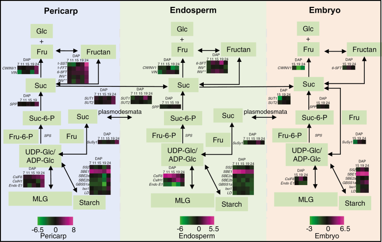 Fig. 7.