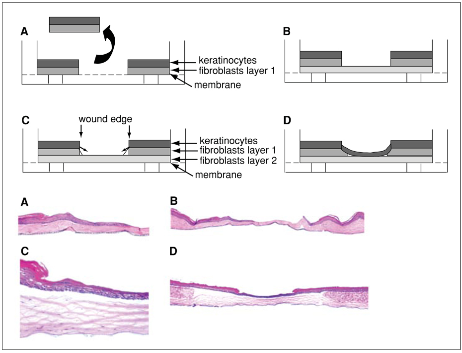 Figure 19.9.3