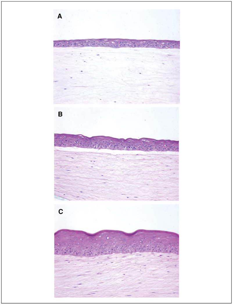 Figure 19.9.2