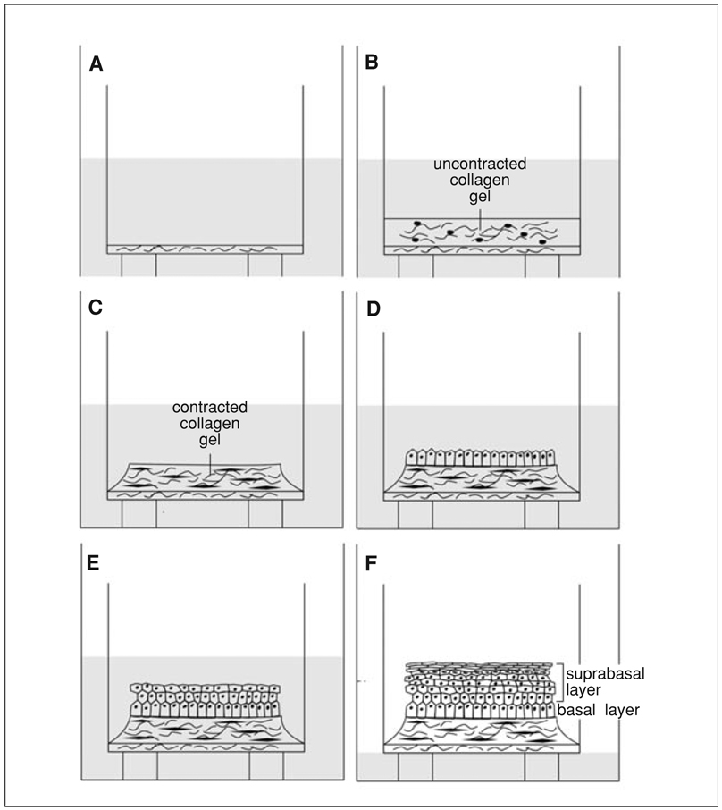 Figure 19.9.1