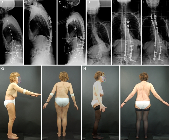 Fig. 7