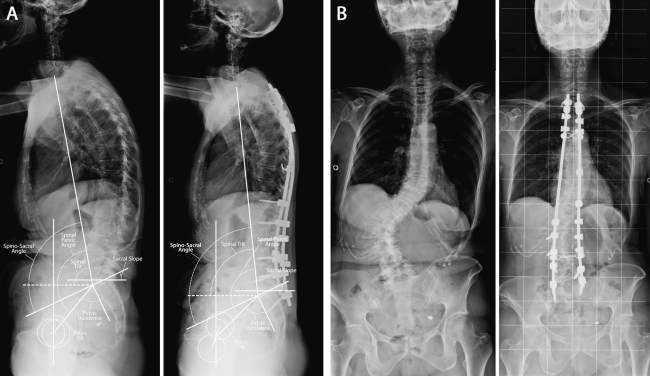 Fig. 5