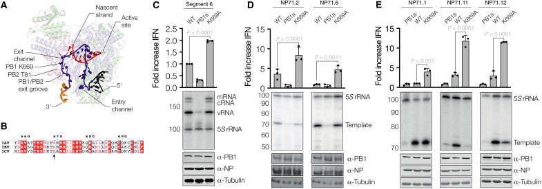 Fig. 4.