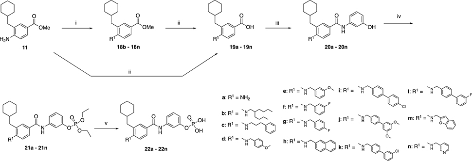Scheme 2.