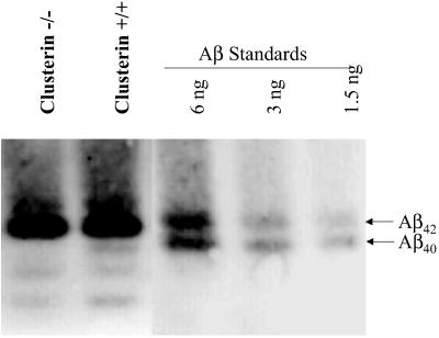 Fig 5.