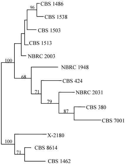 FIG. 2.