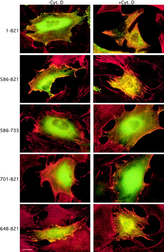 Figure 10.