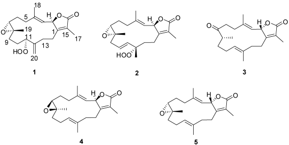 Chart 1